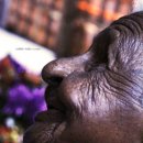 IMG_8681